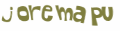 キャプチャ認証