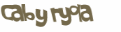 Captcha 챌린지