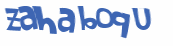Desafio captcha