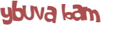 Prueba Captcha