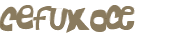 CAPTCHA 挑戰