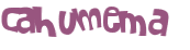 Captcha-Test