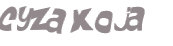Desafio captcha