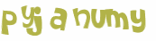 CAPTCHA 挑戰
