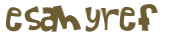 CAPTCHA 挑戰