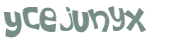 CAPTCHA 挑戰
