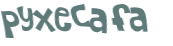 CAPTCHA 挑戰