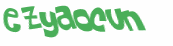 Captcha 챌린지