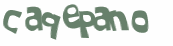 Desafio captcha