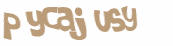 Wyzwanie captcha