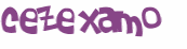 Desafio Captcha