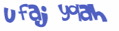 CAPTCHA 挑戰