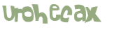 Captcha 챌린지