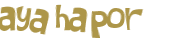 Desafio captcha