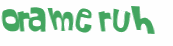 CAPTCHA 挑戰