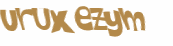 Captcha 챌린지