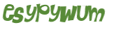 Captcha 챌린지
