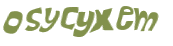 Wyzwanie captcha