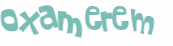 CAPTCHA 挑戰