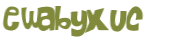 Desafio captcha