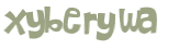 Captcha 챌린지