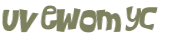 CAPTCHA 挑戰
