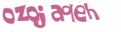 Desafio captcha