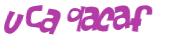 Captcha 챌린지