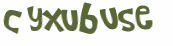 Captcha-Test