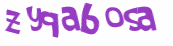 CAPTCHA 挑戰