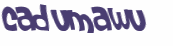 CAPTCHA 挑戰