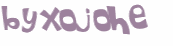 CAPTCHA 挑戰