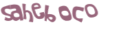 Captchafråga