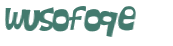 CAPTCHA 挑戰