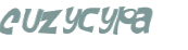 Wyzwanie captcha
