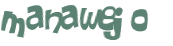 Wyzwanie captcha
