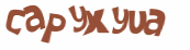 キャプチャ認証
