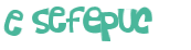 Wyzwanie captcha