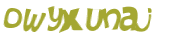 CAPTCHA 挑戰