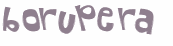 CAPTCHA 挑戰