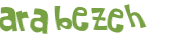 Wyzwanie captcha