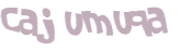 Prueba Captcha