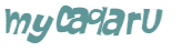 CAPTCHA 挑戰