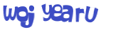 CAPTCHA 挑戰