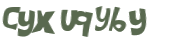Captcha 챌린지
