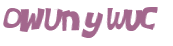 Captcha 챌린지