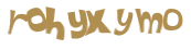CAPTCHA 挑戰