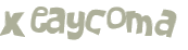 Captcha 챌린지