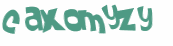 CAPTCHA 挑戰
