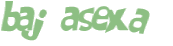 CAPTCHA-haaste